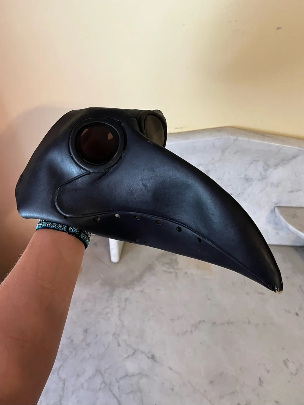 Halloween Plague Doctor Bird Mask Black